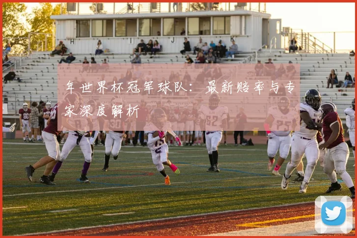 年世界杯冠军球队:最新赔率与专家深度解析